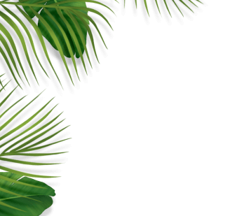banner3-vector1